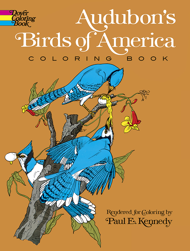 Wildlife coloring book Audubon birds of America