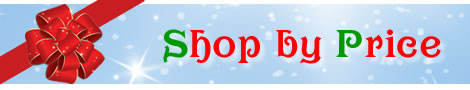 Holiday Shop