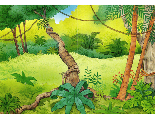 stamp a scene rainforest
