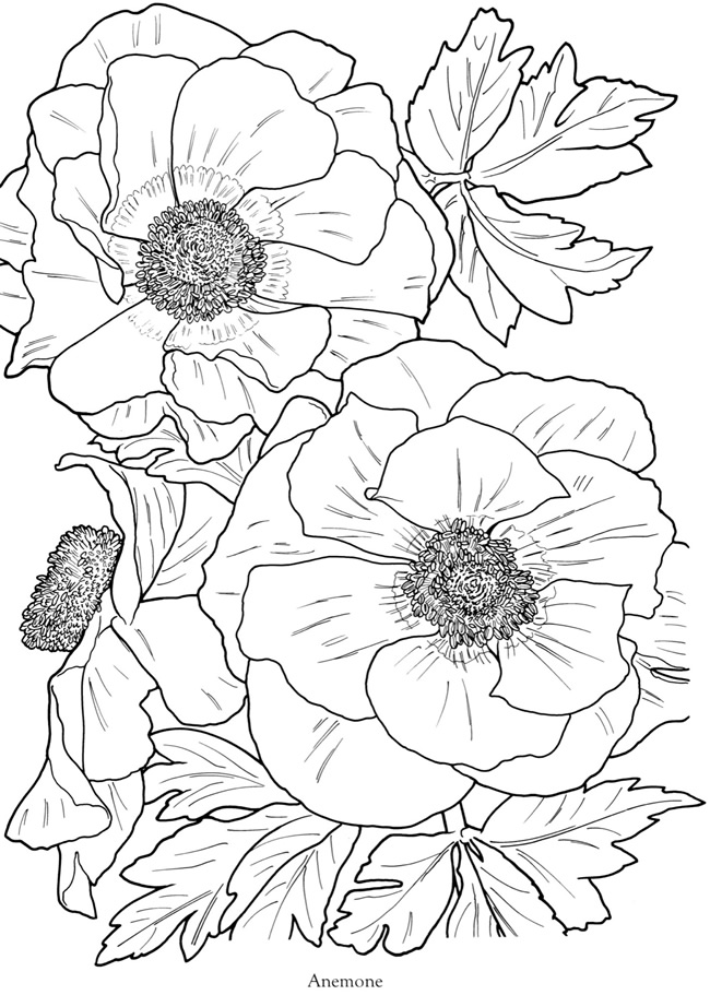 Welcome To Dover Publications