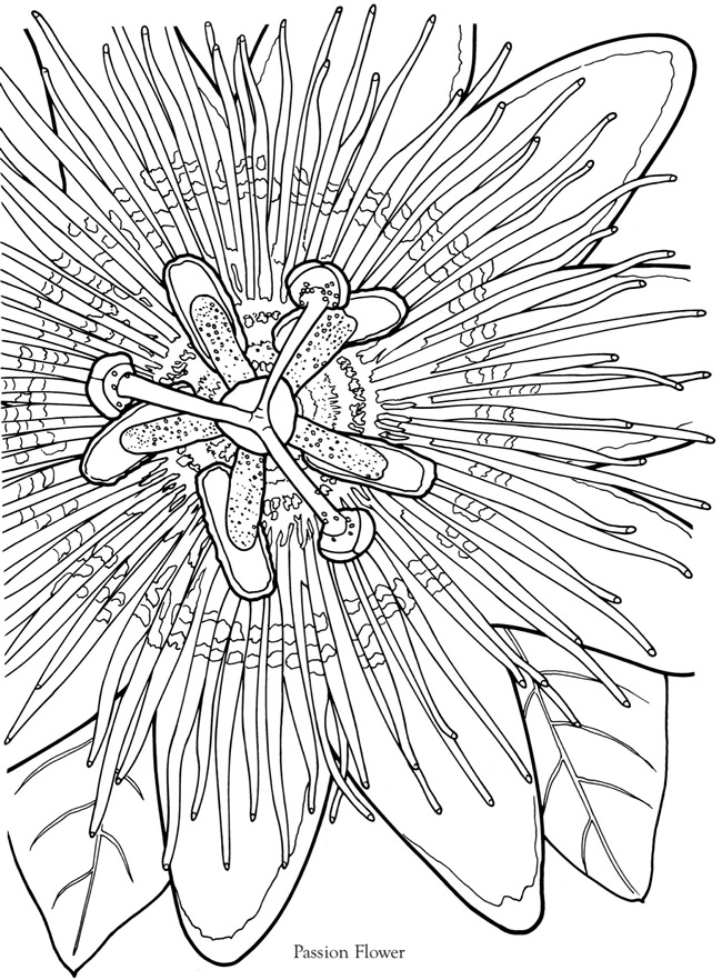 Welcome to Dover Publications