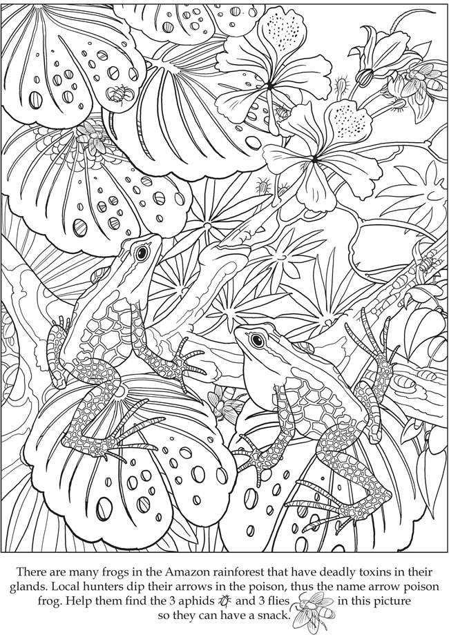 Welcome to Dover Publications