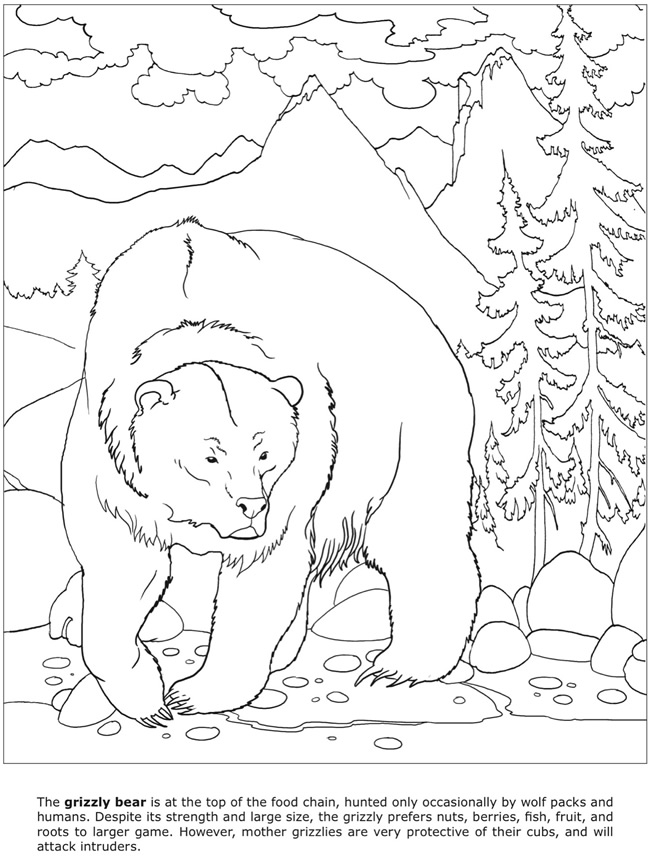 Coloring Pages Of Dangerous Animals : How to draw dangerous animals Coloring Pages Of Dangerous Animals : How to draw dangerous animals