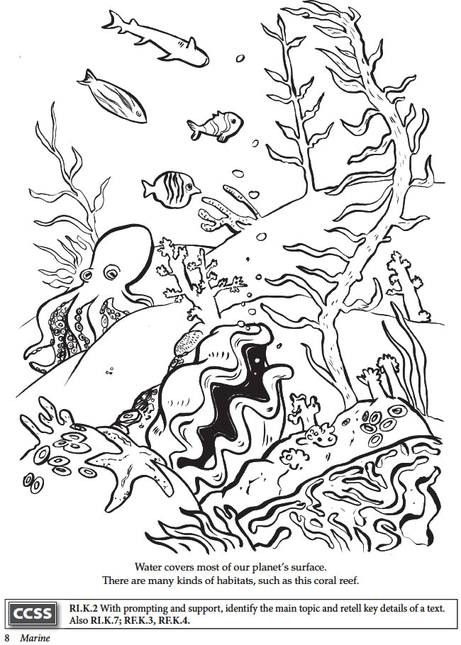 ocean ecosystem food web coloring pages - photo #23