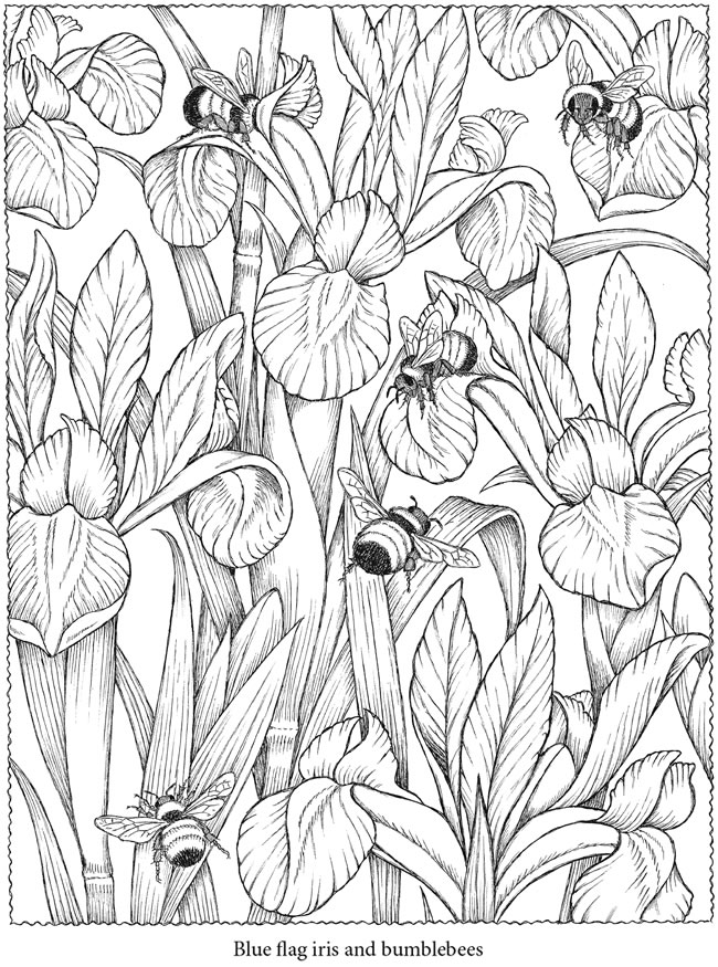 quirkles coloring pages for adults - photo #50
