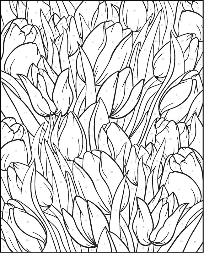 Paint Samples Colouring Pages Paint Samples Colouring Pages