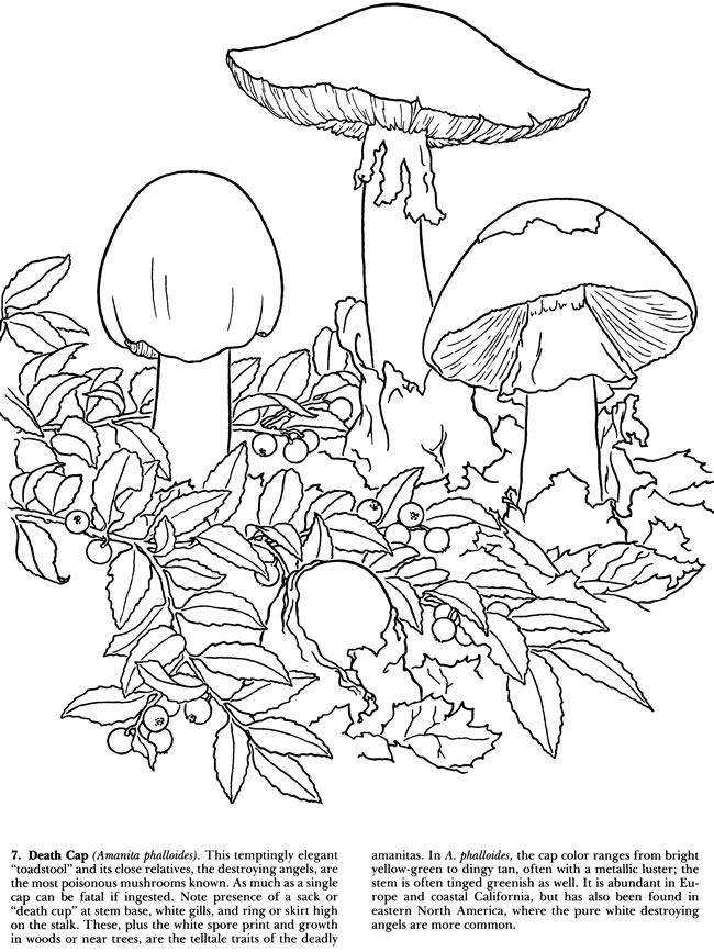 Welcome to Dover Publications