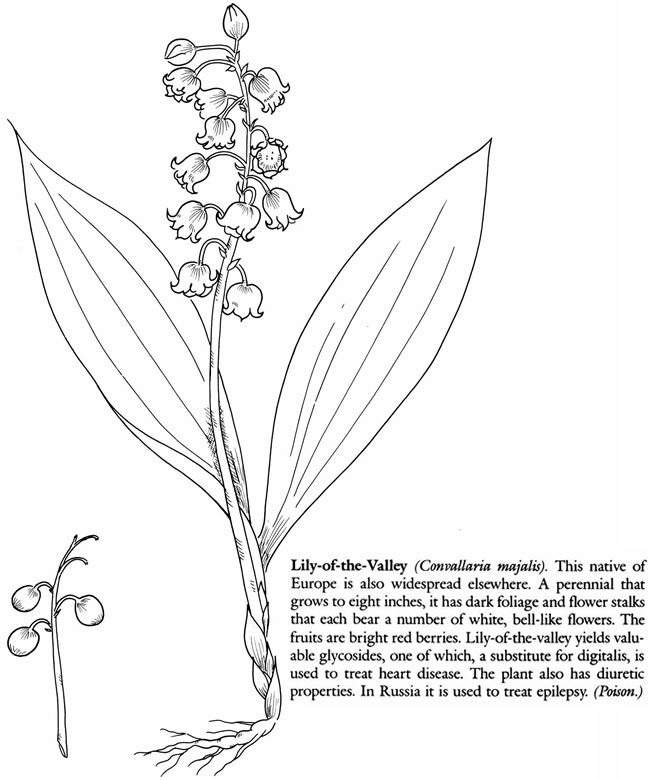 Welcome to Dover Publications