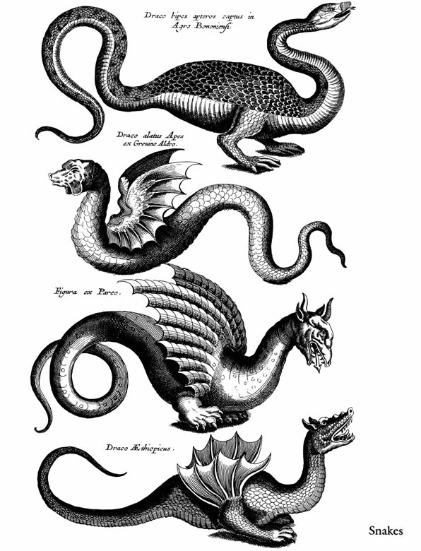Welcome to Dover Publications