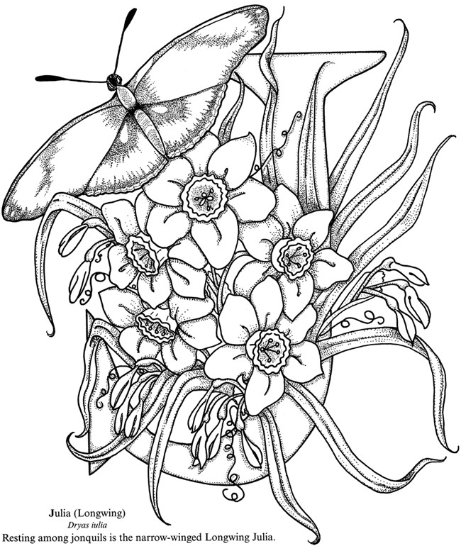 87 Dover Coloring Book Butterfly Alphabet Best HD