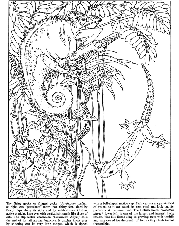 Welcome to Dover Publications Welcome to Dover Publications
