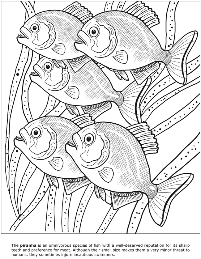 Dangerous Animals Coloring Pages Coloring Pages