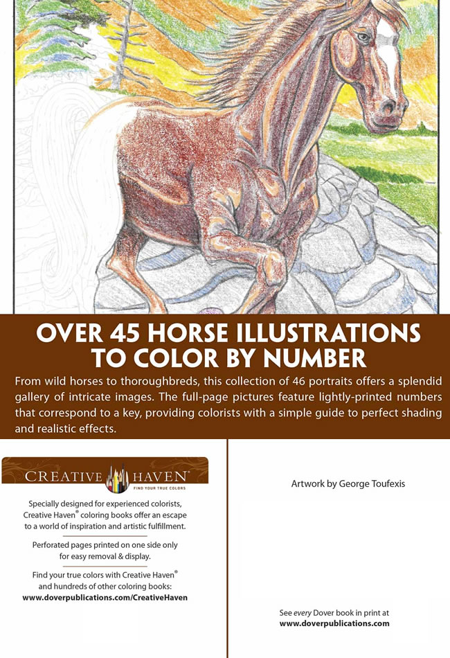 Free Printable Adult Coloring: Horses (color by number) 793842-back
