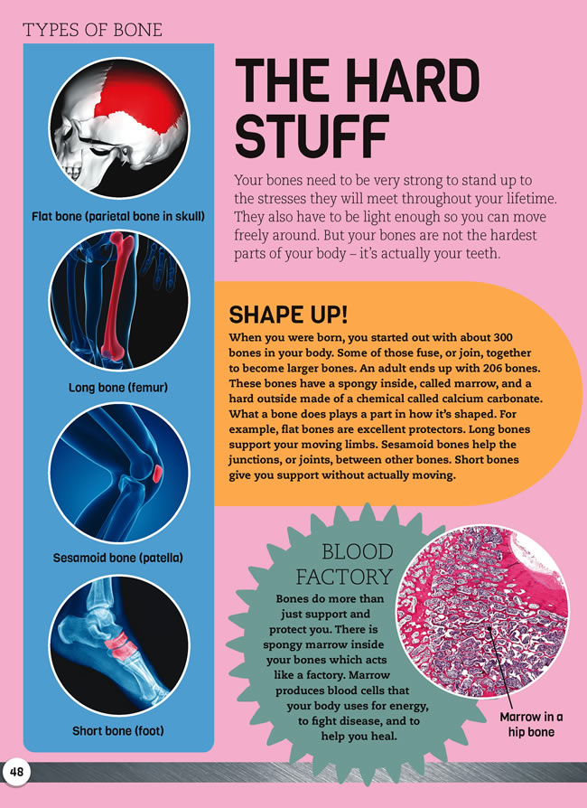 to Dover Publications