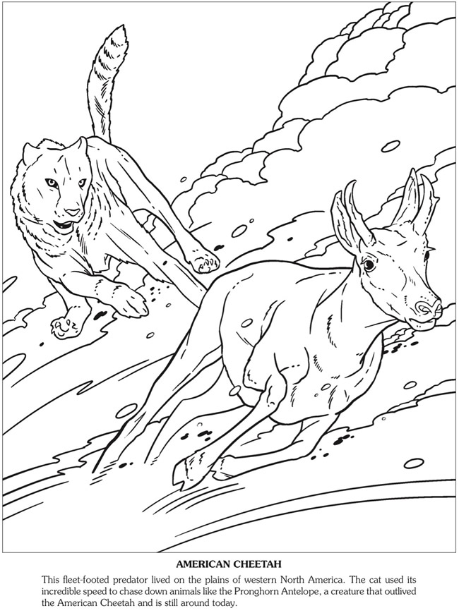 predator animal coloring pages